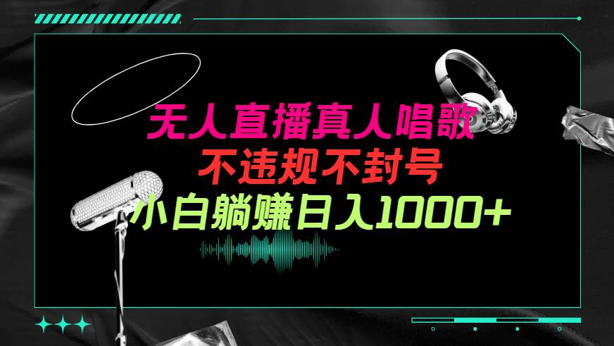 抖音24小时无人直播音乐，不违规，不封号纯撸音浪，小白实操当天日入1000+-翌晨科技网