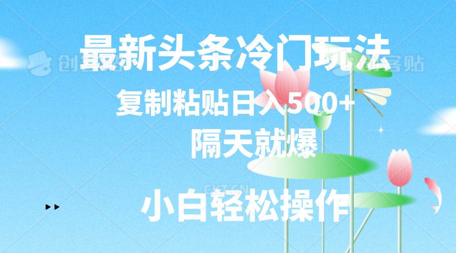 最新头条冷门玩法，隔天就爆，复制粘贴日入500+-翌晨科技网