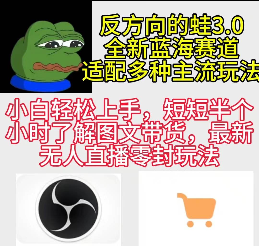 反方向的蛙3.0，图文最新玩法，变现多元化，新蓝海项目，小白轻松上手-翌晨科技网