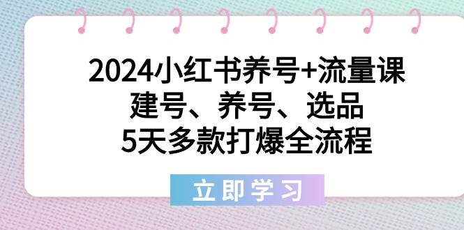 2024小红书养号+流量课:建号、养号、选品,5天多款打爆全流程-翌晨科技网