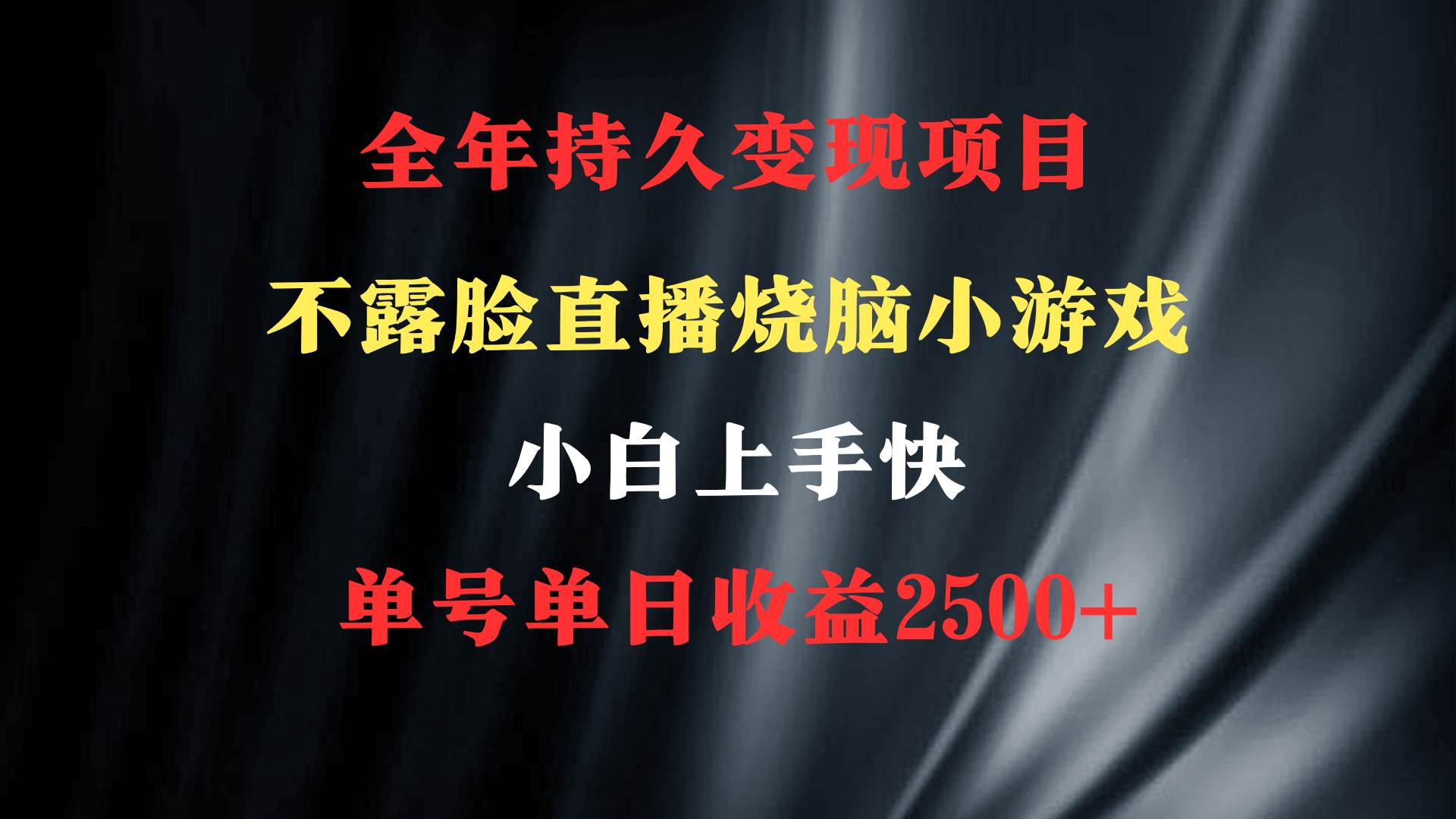 2024年 最优项目,烧脑小游戏不露脸直播 小白上手快 无门槛 一天收益2500+-翌晨科技网