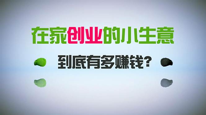 在家创业，日引300+创业粉，一年收入30万，闷声发财的小生意，比打工强-翌晨科技网