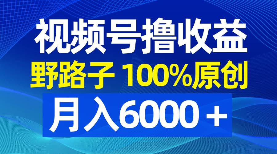 视频号野路子撸收益，100%原创，条条爆款，月入6000＋-翌晨科技网