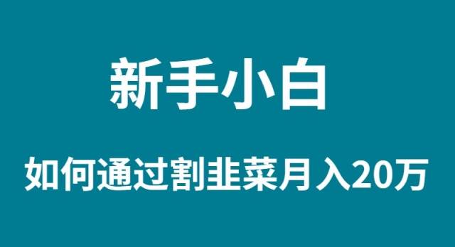 新手小白如何通过割韭菜月入 20W-翌晨科技网
