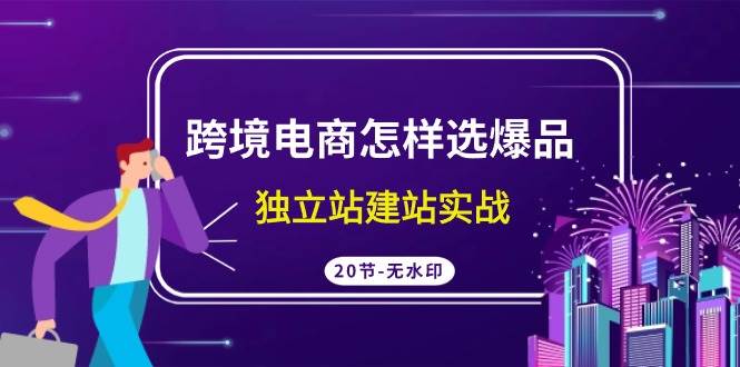 跨境电商怎样选爆品，独立站建站实战（20节高清无水印课）-翌晨科技网