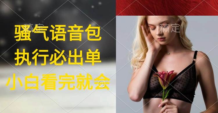 执行就出单，日入2000+，超火骚气语音包，小白看完课程就能马上实操-翌晨科技网