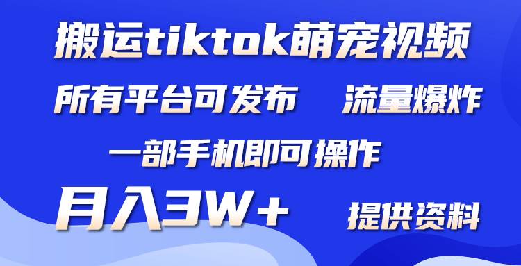 搬运Tiktok萌宠类视频，一部手机即可。所有短视频平台均可操作，月入3W+-翌晨科技网