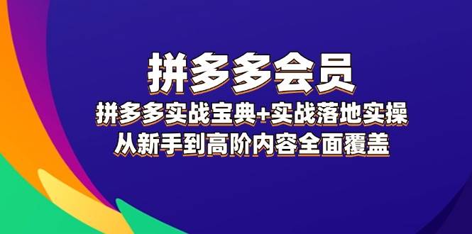 拼多多 会员，拼多多实战宝典+实战落地实操，从新手到高阶内容全面覆盖-翌晨科技网
