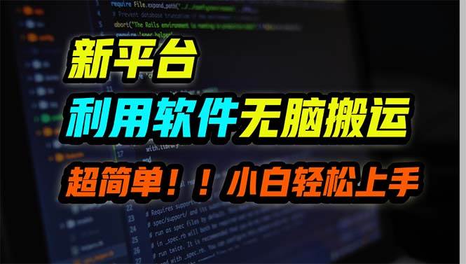 新平台用软件无脑搬运,月赚10000+,小白也能轻松上手-翌晨科技网