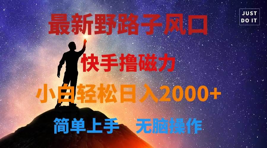 最新风口！快手撸磁力，野路子，小白无脑操作日入2000+-翌晨科技网