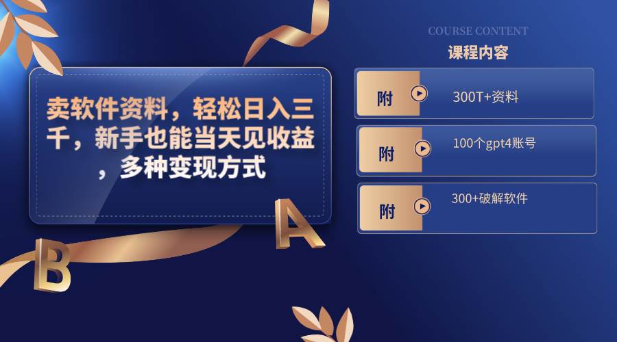 卖软件资料，轻松日入三千，新手也能当天见收益，多种变现方式，（附300T+资料，100个gpt4账号，300+破解软件）-翌晨科技网