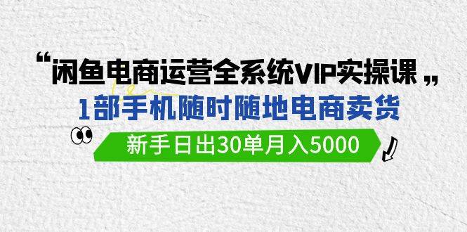 闲鱼电商运营全系统VIP实战课，1部手机随时随地卖货，新手日出30单月入5000-翌晨科技网