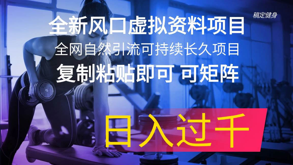 全新风口虚拟资料项目 全网自然引流可持续长久项目 复制粘贴即可可矩阵...-翌晨科技网