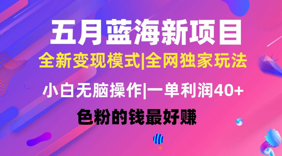 五月蓝海项目全新玩法,小白无脑操作,一天几分钟,矩阵操作,月入4万+-翌晨科技网