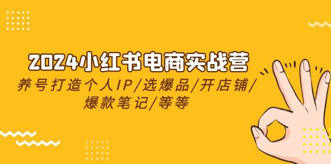 2024小红书电商实战营，养号打造IP/选爆品/开店铺/爆款笔记/等等（24节）-翌晨科技网
