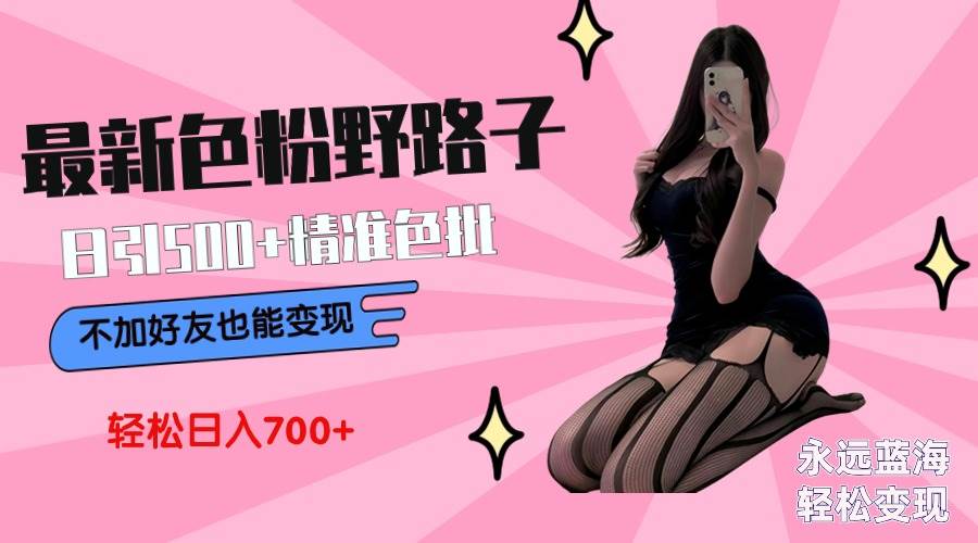 最新色粉变现野路子，日引500+老色批 可不加好友直接变现 小白轻松日入700+-翌晨科技网
