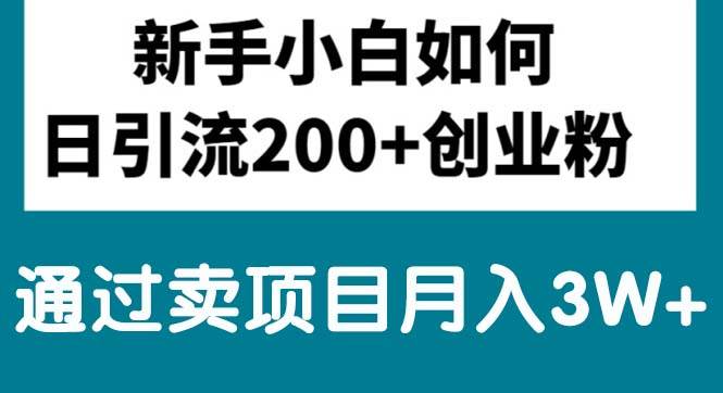 新手小白日引流200+创业粉,通过卖项目月入3W+-翌晨科技网