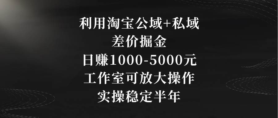 利用淘宝公域+私域差价掘金,日赚1000-5000元,工作室可放大操作,实操...-翌晨科技网