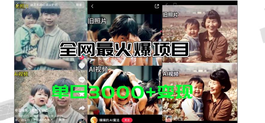 全网爆火的AI让老照片动起来教程，蹭热点日赚3000+，内含免费工具一键...-翌晨科技网