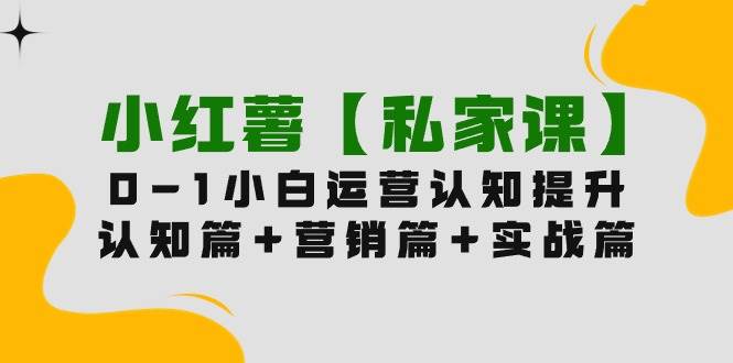 小红薯【私家课】0-1玩赚小红书内容营销，认知篇+营销篇+实战篇（11节课）-翌晨科技网