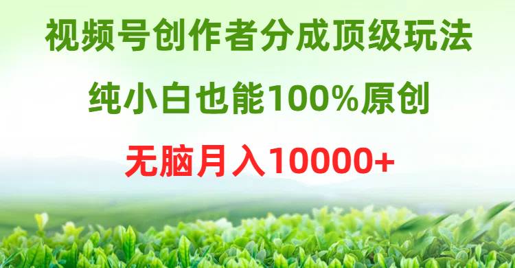 视频号创作者分成顶级玩法，纯小白也能100%原创，无脑月入10000+-翌晨科技网