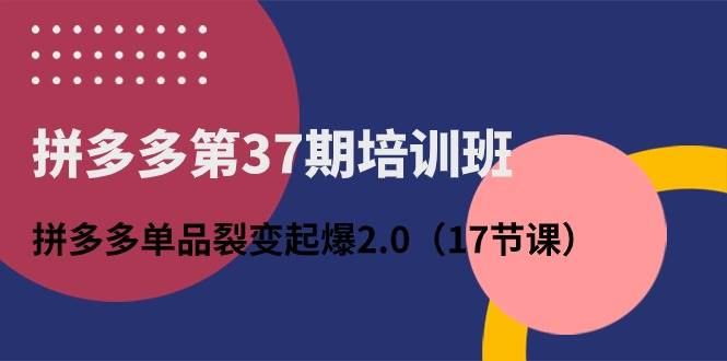 拼多多第37期培训班：拼多多单品裂变起爆2.0（17节课）-翌晨科技网