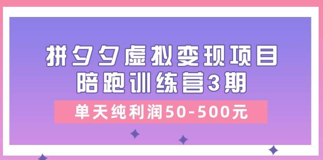 某收费培训《拼夕夕虚拟变现项目陪跑训练营3期》单天纯利润50-500元-翌晨科技网