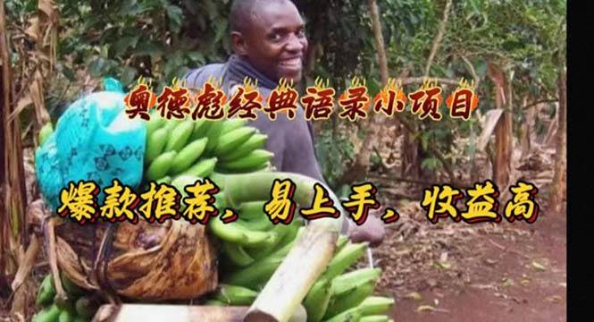 奥德彪经典语录小项目,爆款推荐,易上手,收益高-翌晨科技网