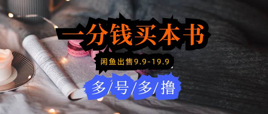 每天花1分钱买一本书，闲鱼出售9.9-19.9不等，多账号多撸 新手小白均可操作-翌晨科技网
