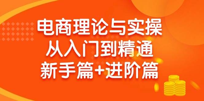电商理论与实操从入门到精通 新手篇+进阶篇-翌晨科技网