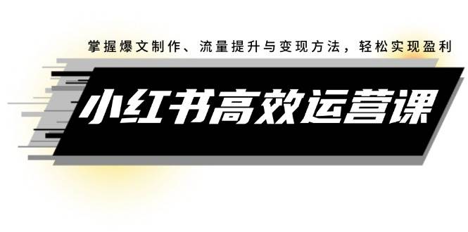 小红书高效运营课：掌握爆文制作、流量提升与变现方法，轻松实现盈利-翌晨科技网