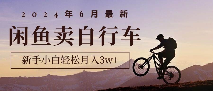 2024年6月最新闲鱼卖自行车，新手小白轻松月入3w+项目-翌晨科技网