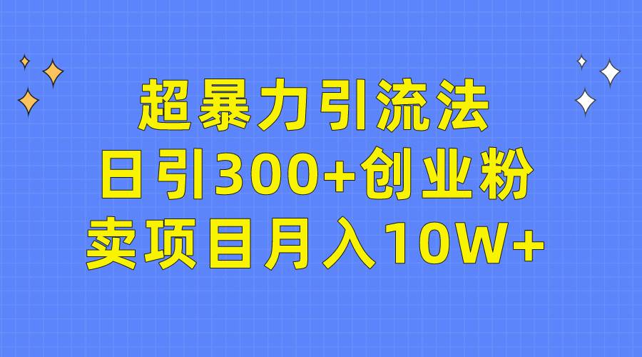 超暴力引流法，日引300+创业粉，卖项目月入10W+-翌晨科技网