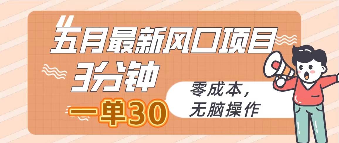 五月最新风口项目，3分钟一单30，零成本，无脑操作-翌晨科技网