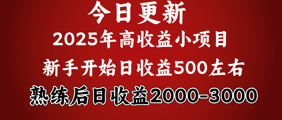好项目一眼就能看出来,日收益1000,长久可做,2025拼的就是我比你勤奋-翌晨科技网