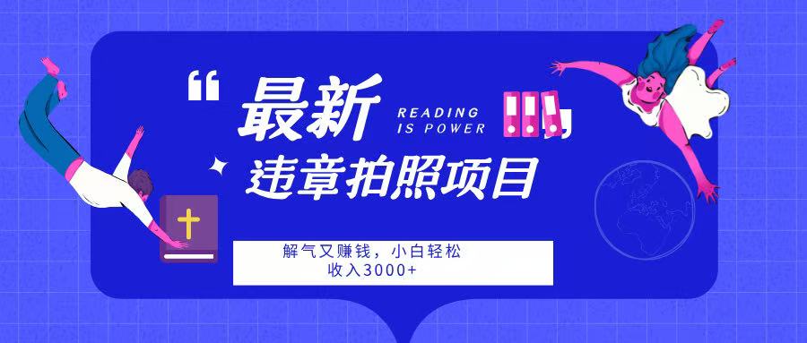 最新违章拍照项目,解气又赚钱,随手一拍,轻松收入3000-翌晨科技网