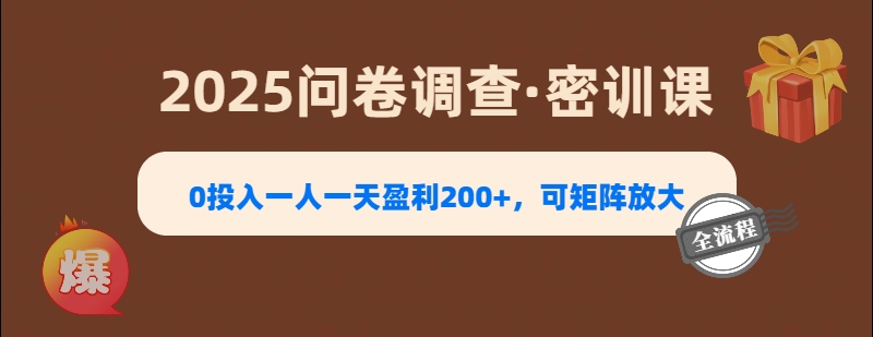 2025《问卷调查》0投入一人一天盈利200+，可矩阵放大-翌晨科技网