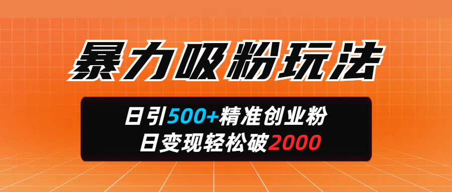 暴力吸粉玩法,日引500+精准创业粉,日变现轻松破2000-翌晨科技网