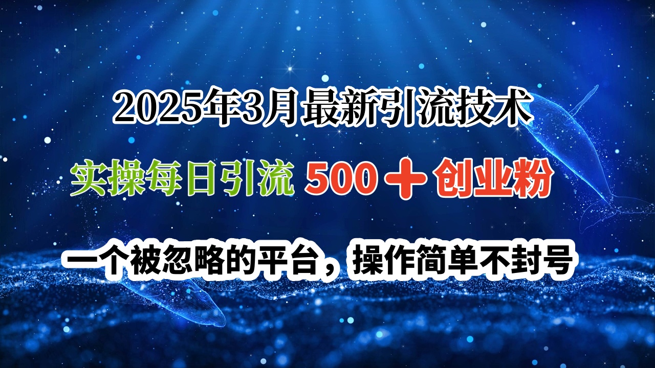 2025年3月最新引流技术，实操每日引流500➕创业粉，一个被忽略的平台，操作简单不封号-翌晨科技网