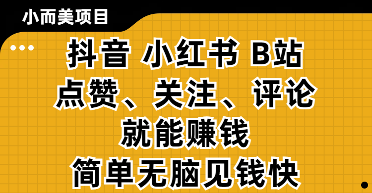 小而美的项目，抖音、小红书、B站视频点赞、关注、评论就能赚钱，简单无脑立见收益！妥妥的零撸项目-翌晨科技网
