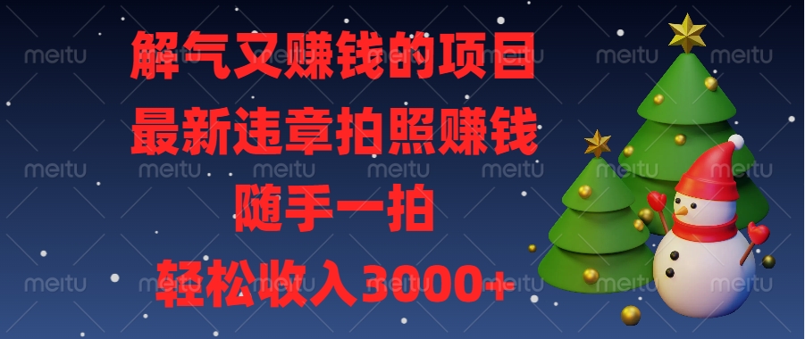 解气又赚钱的项目,最新违章拍照赚钱,随手一拍,轻松收入3000+-翌晨科技网