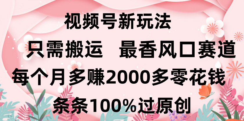日入2000+,条条100%过原创,视频号最香风口赛道,小白轻松上手-翌晨科技网