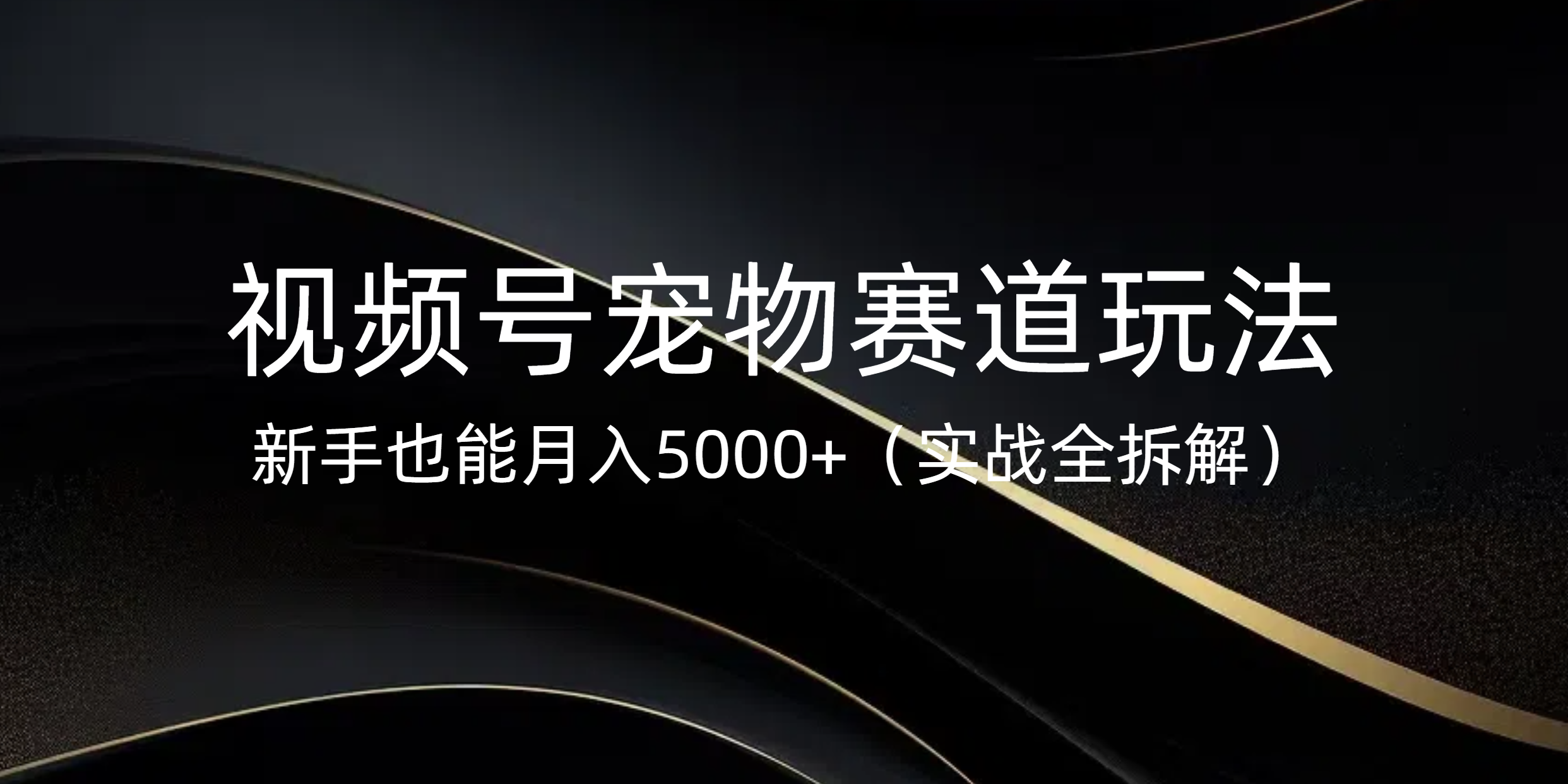 视频号宠物赛道玩法,新手也能月入5000+(实战全拆解)-翌晨科技网