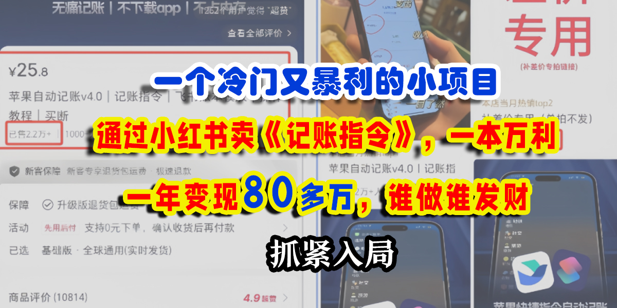 一个冷门又暴利的小项目，通过小红书卖《记账指令》，一本万利，一年变现80多万，谁做谁发财-翌晨科技网