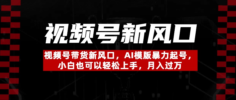 视频号带货新风口,AI模版暴力起号,小白也可以轻松上手,月入过万-翌晨科技网