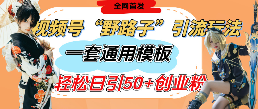 视频号“野路子”玩法，评论区疯狂截流，一套模板单日单号引流50+创业粉-翌晨科技网