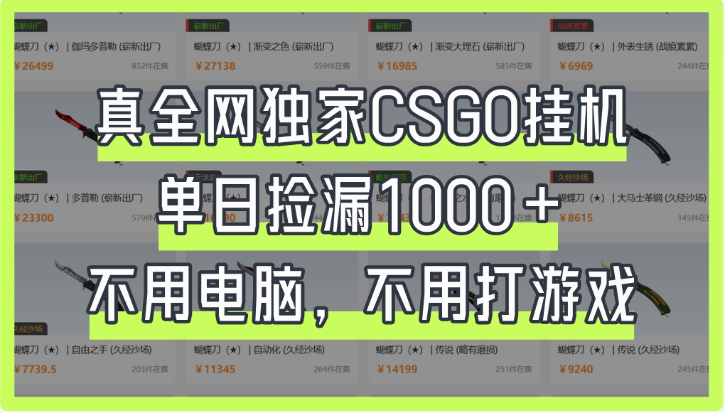 真全网独家CSGO挂机，单日捡漏1000+-翌晨科技网