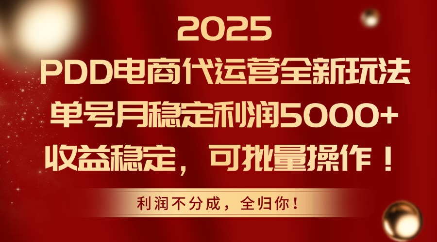 2025 PDD电商代运营全新玩法，单号月稳定利润5000+，收益稳定，可批量操作！-翌晨科技网