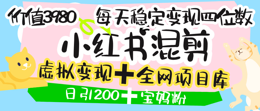 价值3980的小红书混剪, 虚拟变现 +全网项目库 , 日引200+宝妈创业粉,每天稳定四位数变现-翌晨科技网