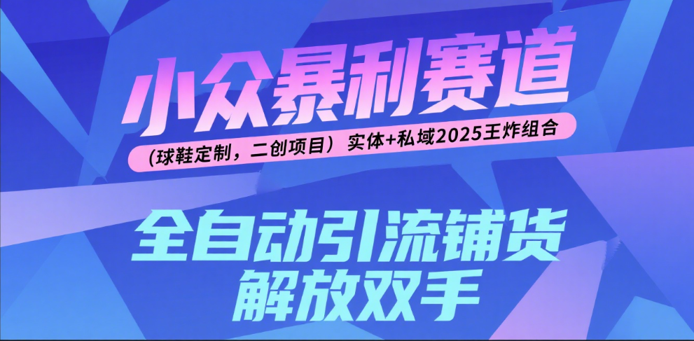楠—小众暴利赛道（球鞋定制，二创项目）实体+私域2025王炸组合-翌晨科技网